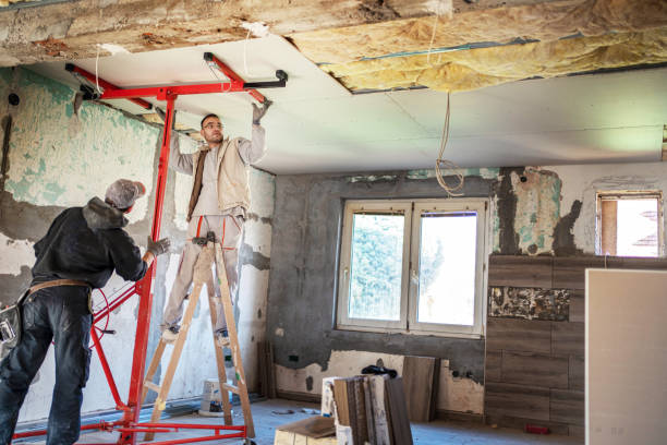 Best Cellulose Insulation  in Old Stine, CA